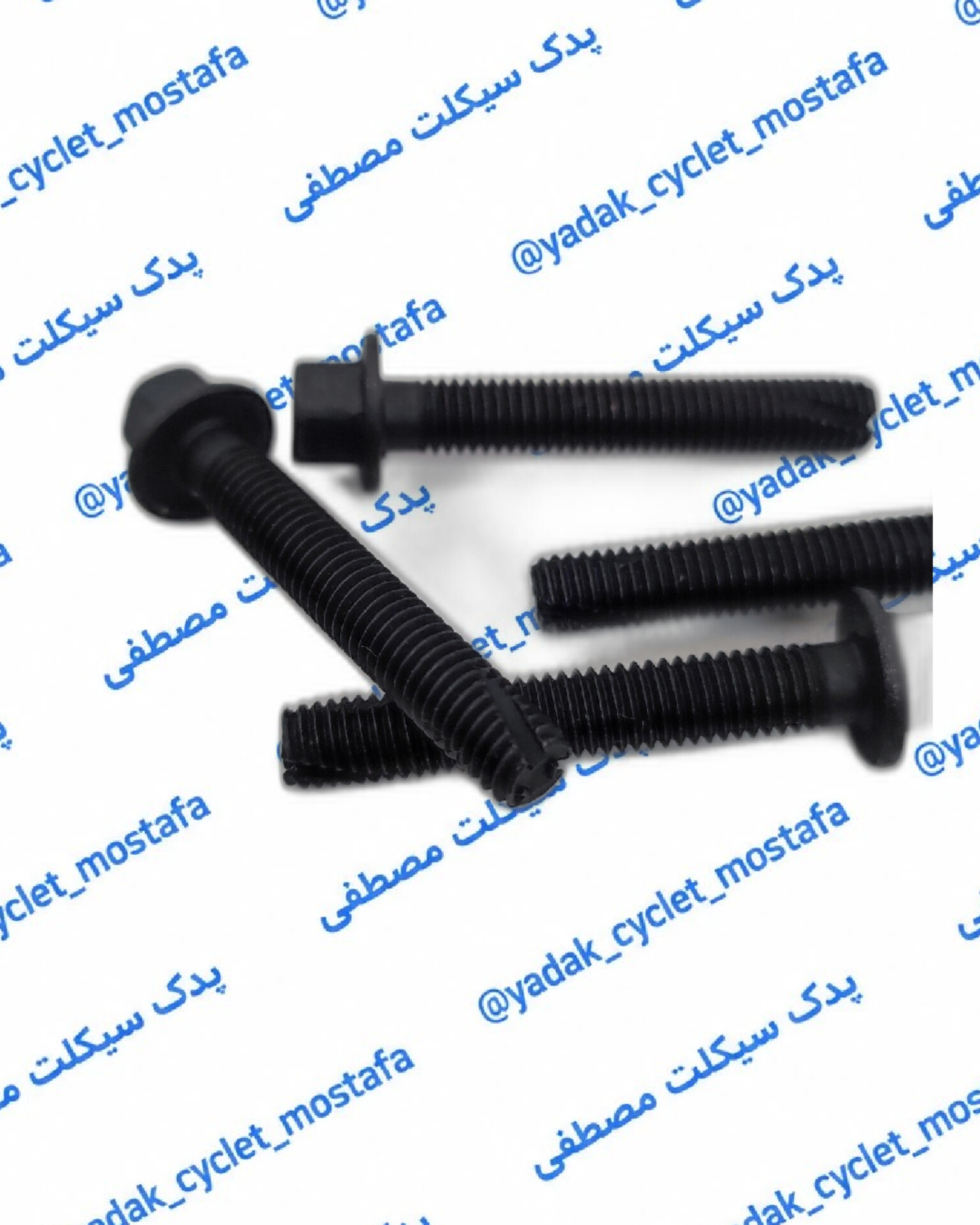 پیچ قلاویزی پوسته کارتل